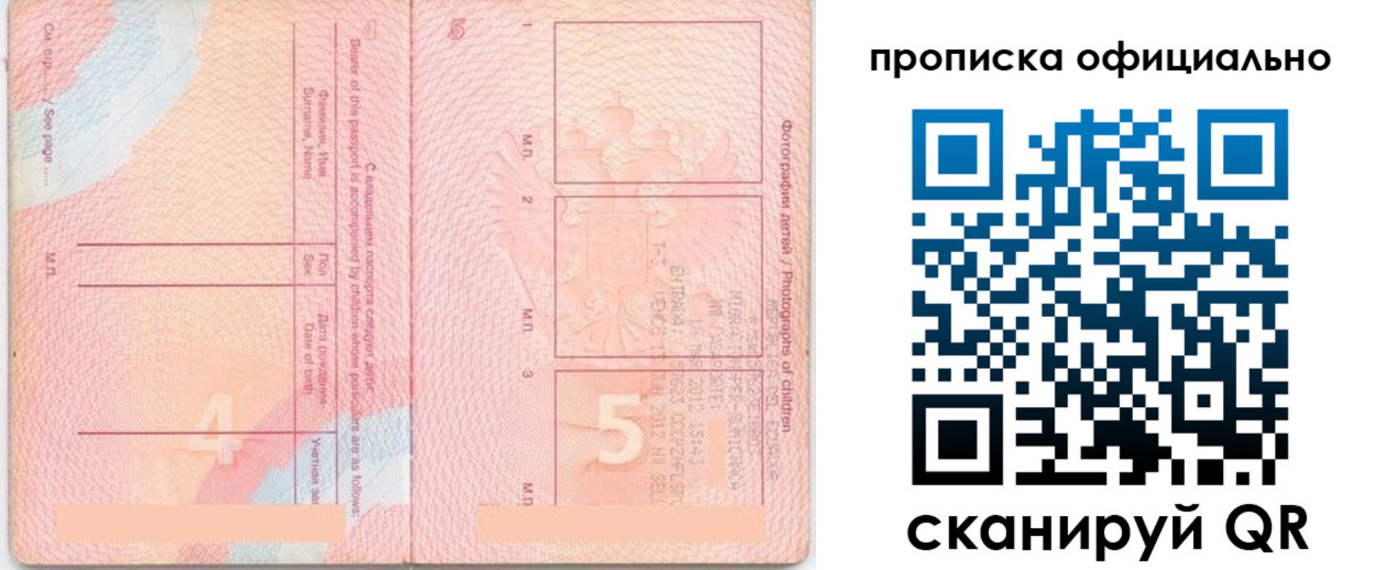 прописка для школы в Сельцо